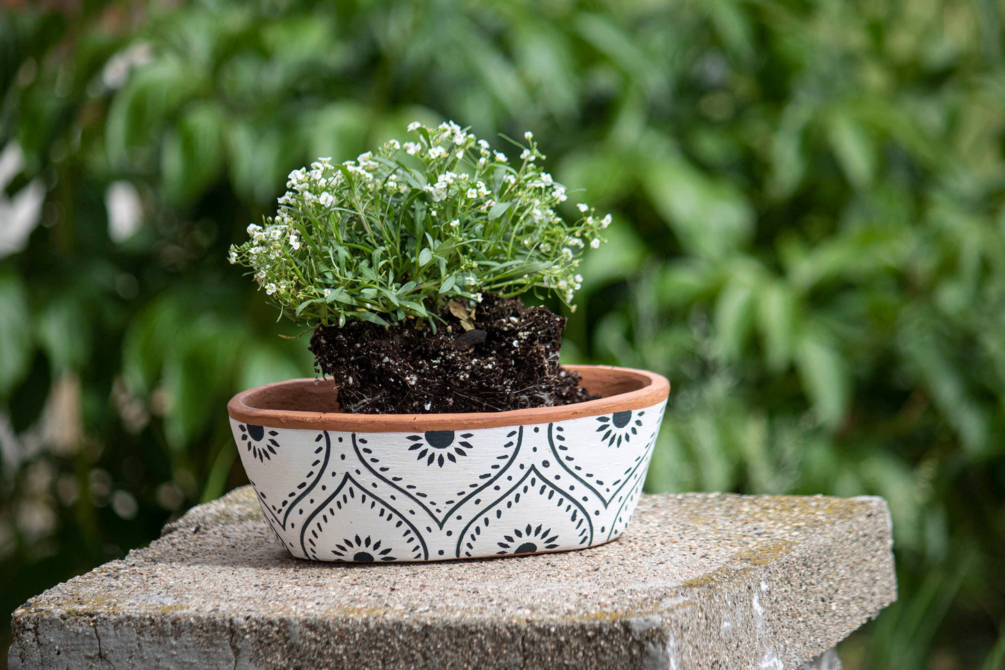 Jenica Terracotta Oval Planter