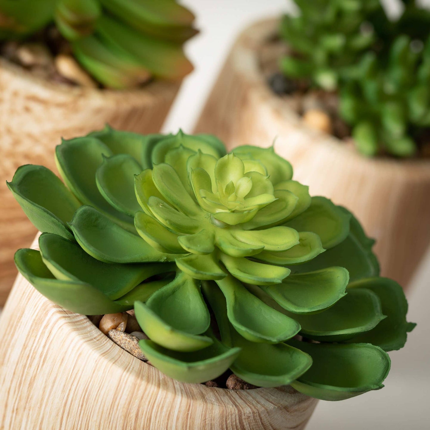 WOODEN POTTED SUCCULENT SET