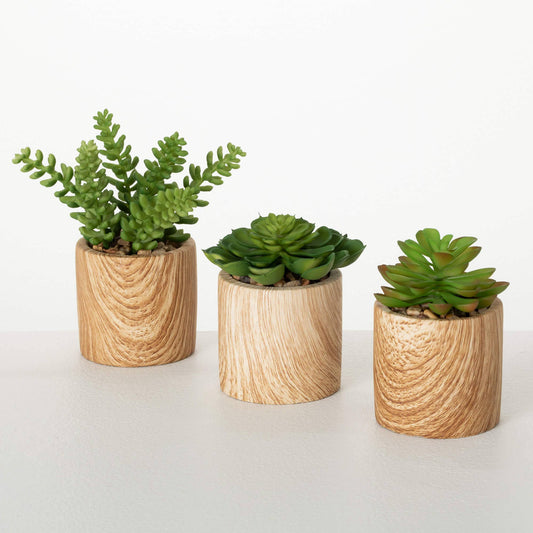 WOODEN POTTED SUCCULENT SET