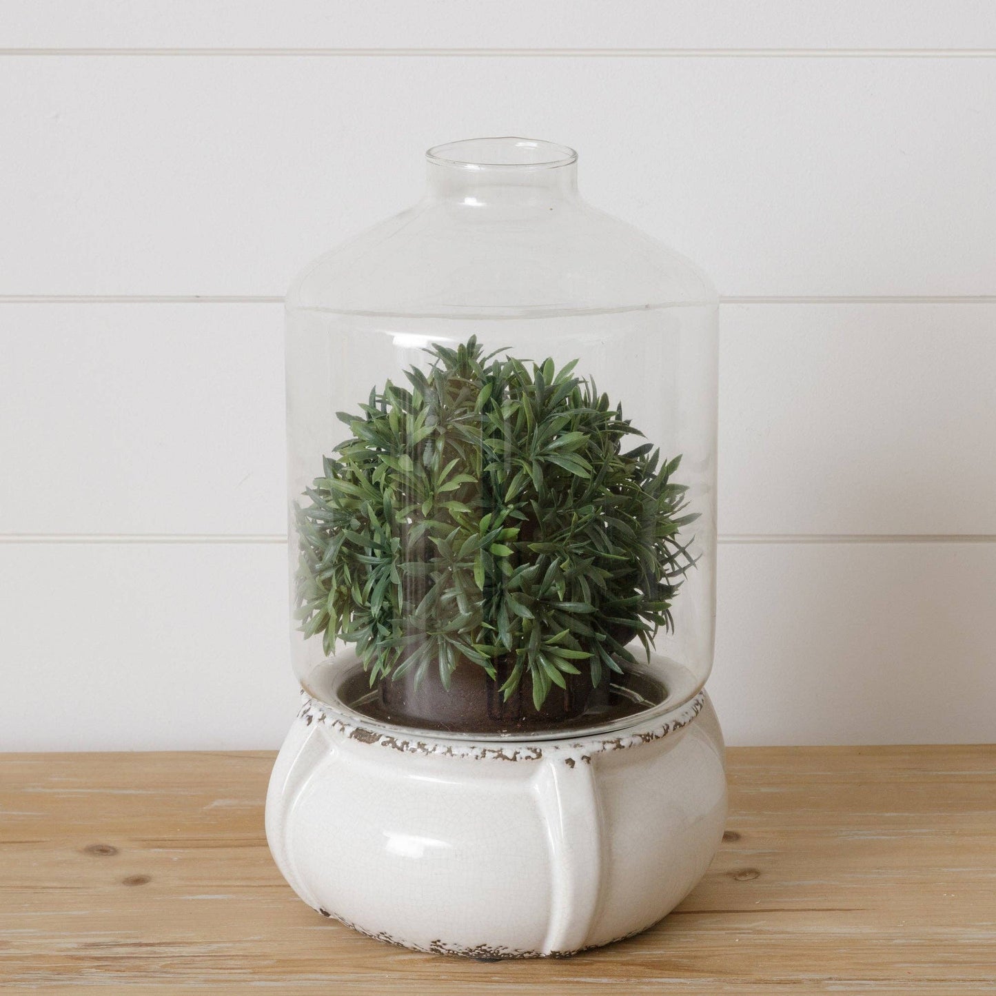 Glass Terrarium With Ceramic Base (PC)