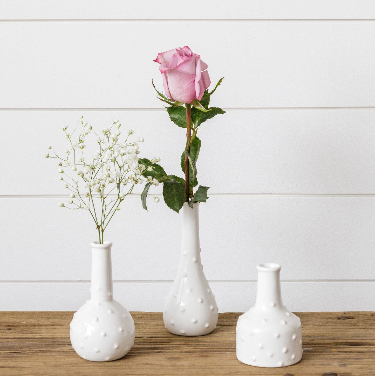 Dottie Bud Vases (PK/3 AST)