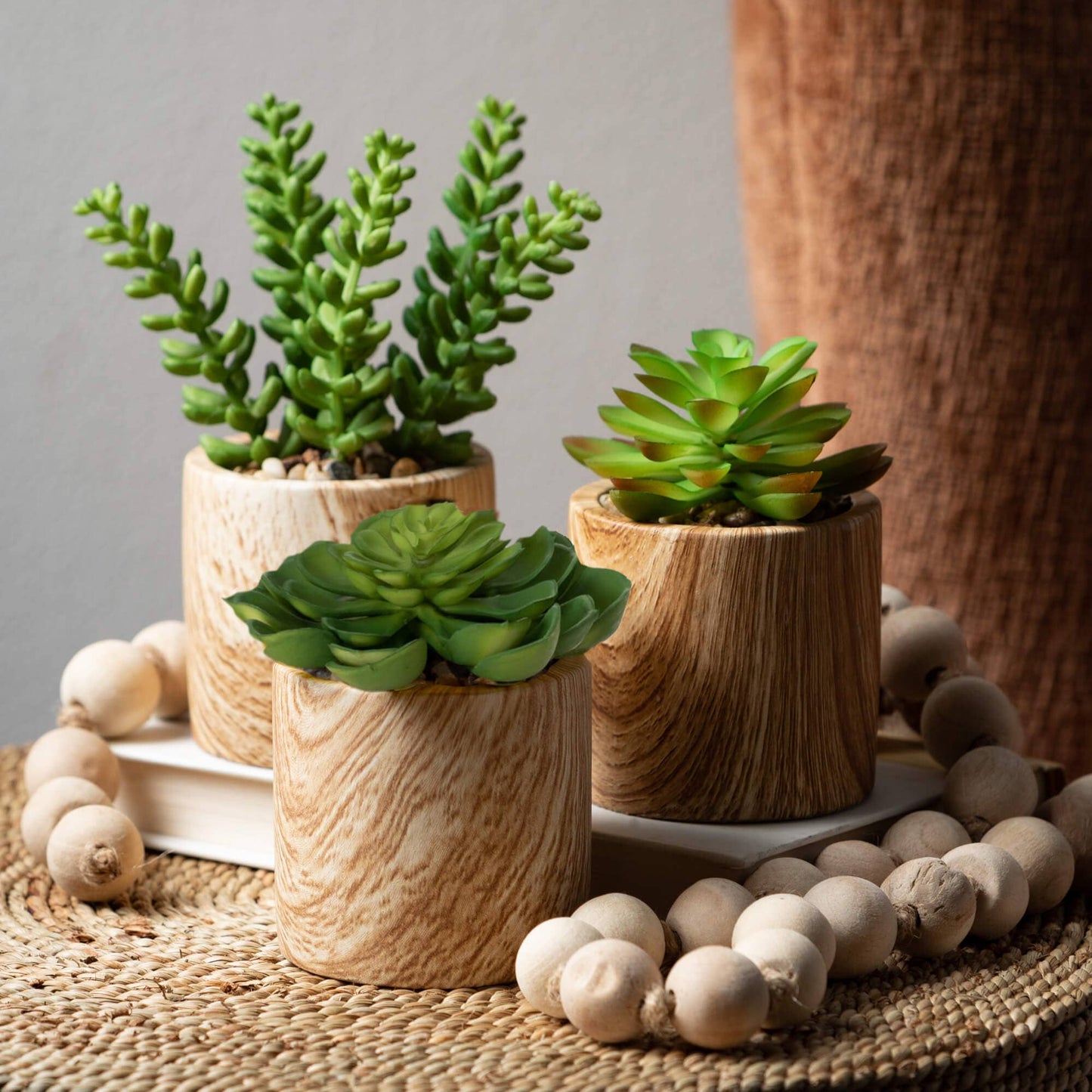 WOODEN POTTED SUCCULENT SET