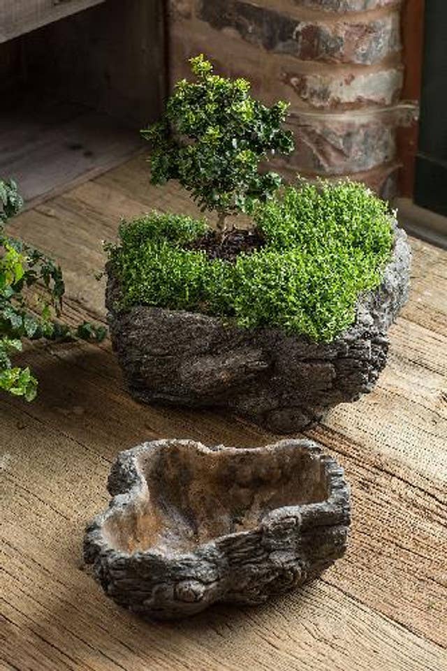 Burled Bark Planter - Large